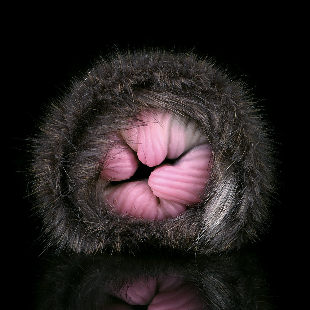 Black Cat Fur Fantasy Pocket Pussy – Insertable Penis Massager Anal Sensation For Men