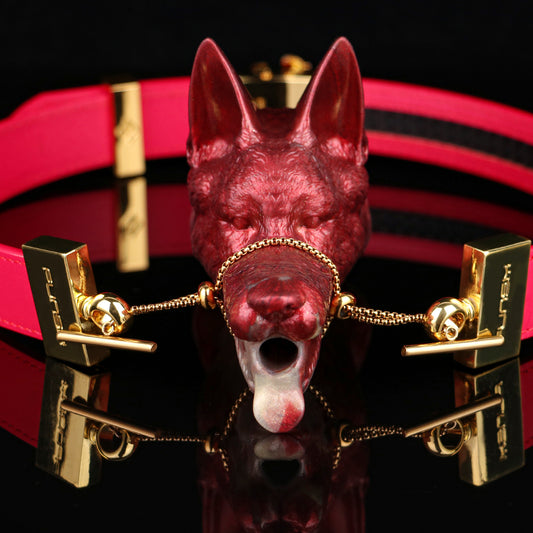 Mordaza de boca de zorro con tapón para sexo oral: juguetes sexuales de bondage salvajes y atractivos para BDSM