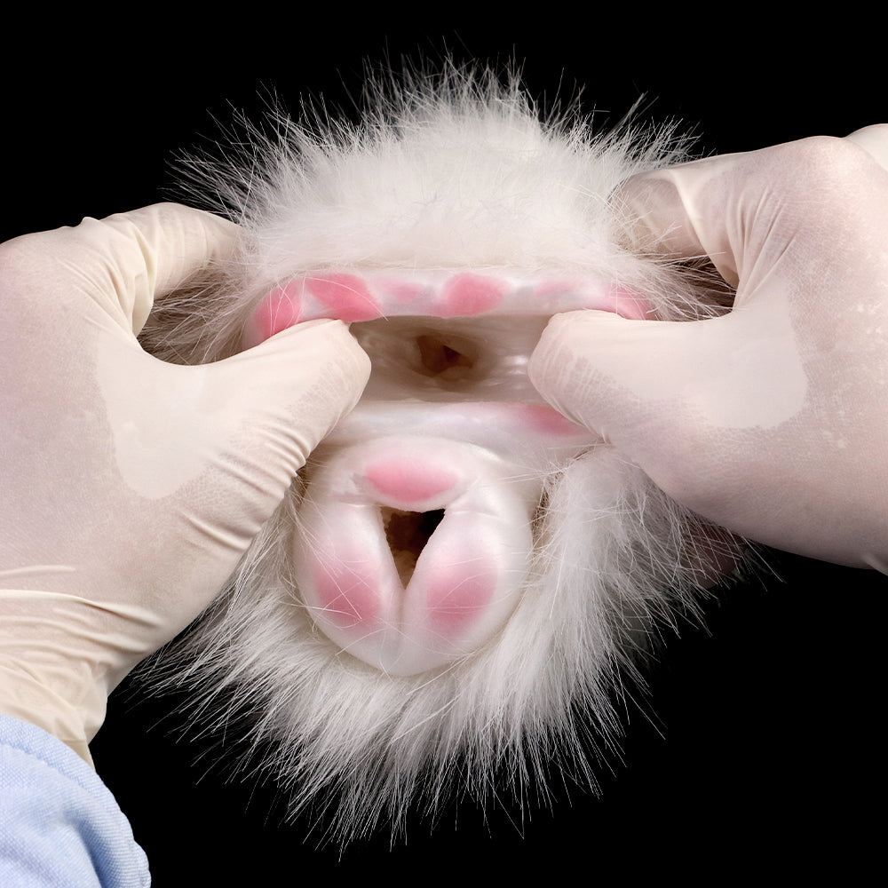Guinea Pig Fur Pocket Pussy – Adorable Male Sex Toy Design