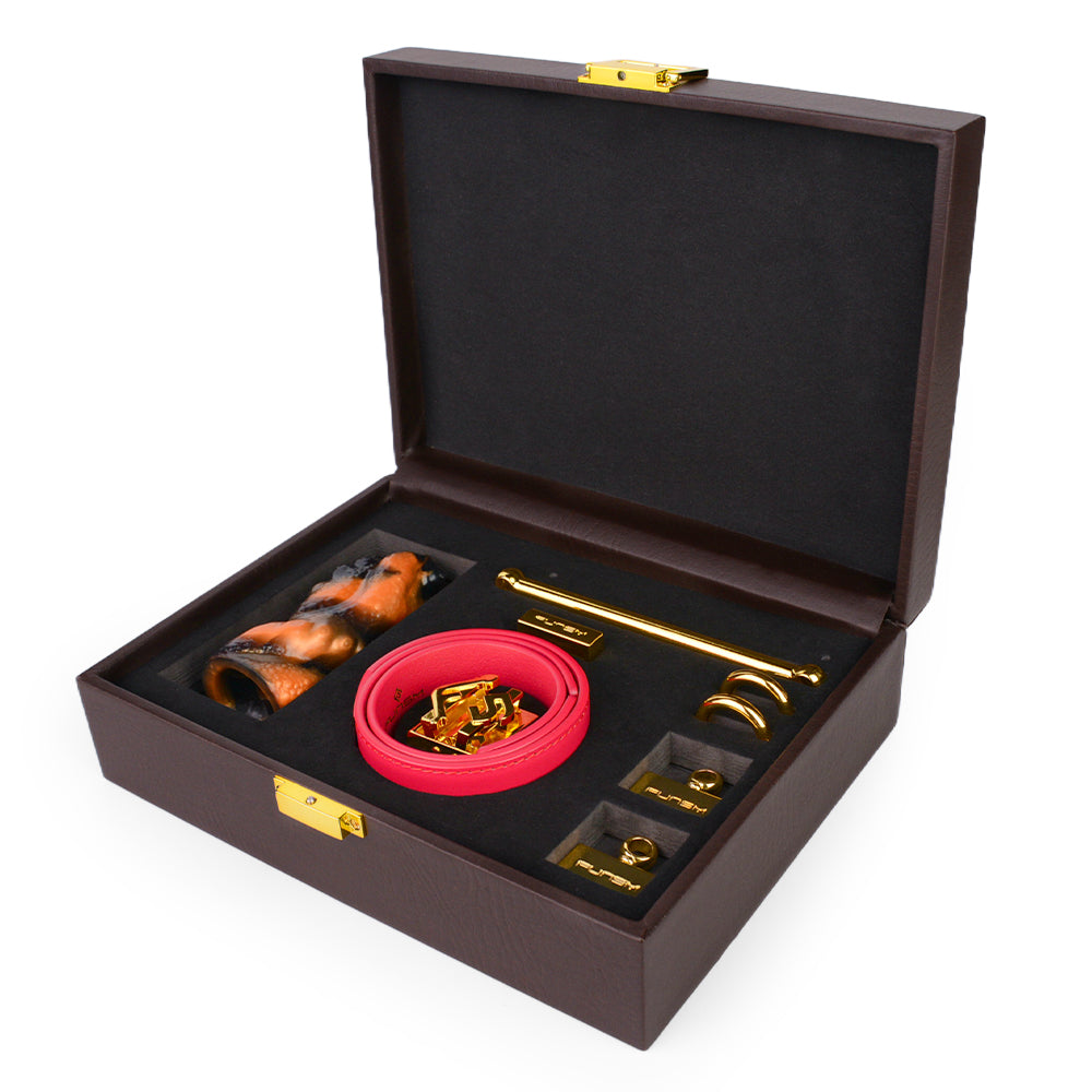 Fantasy Tentacle Dildo Gag – Vibrant Charming BDSM Sex Toys Restraint Enthusiasts