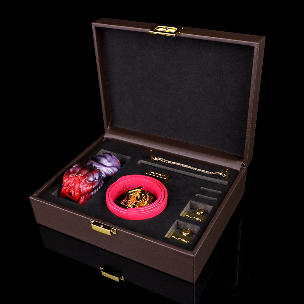 Exotic Female Ball Gag — Redefining Traditional Allure in Sex Toys