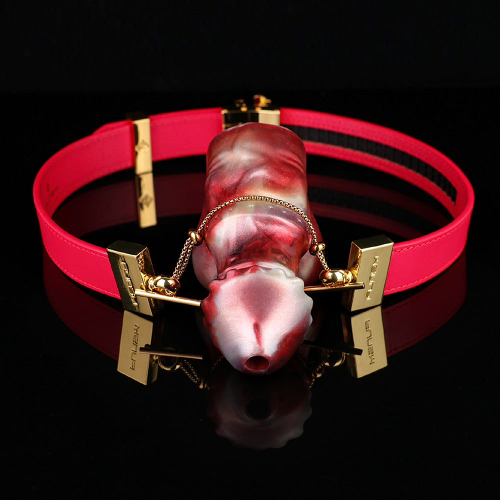 Mordazas de silicona con dildo y tapón oral - Juguetes sexuales para mujeres con kit de bondage