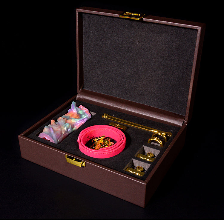 Strap-On Horizontal Ball Gag BDSM Kit – Couple Sex Toys for Performing Extreme Restraints Bondage