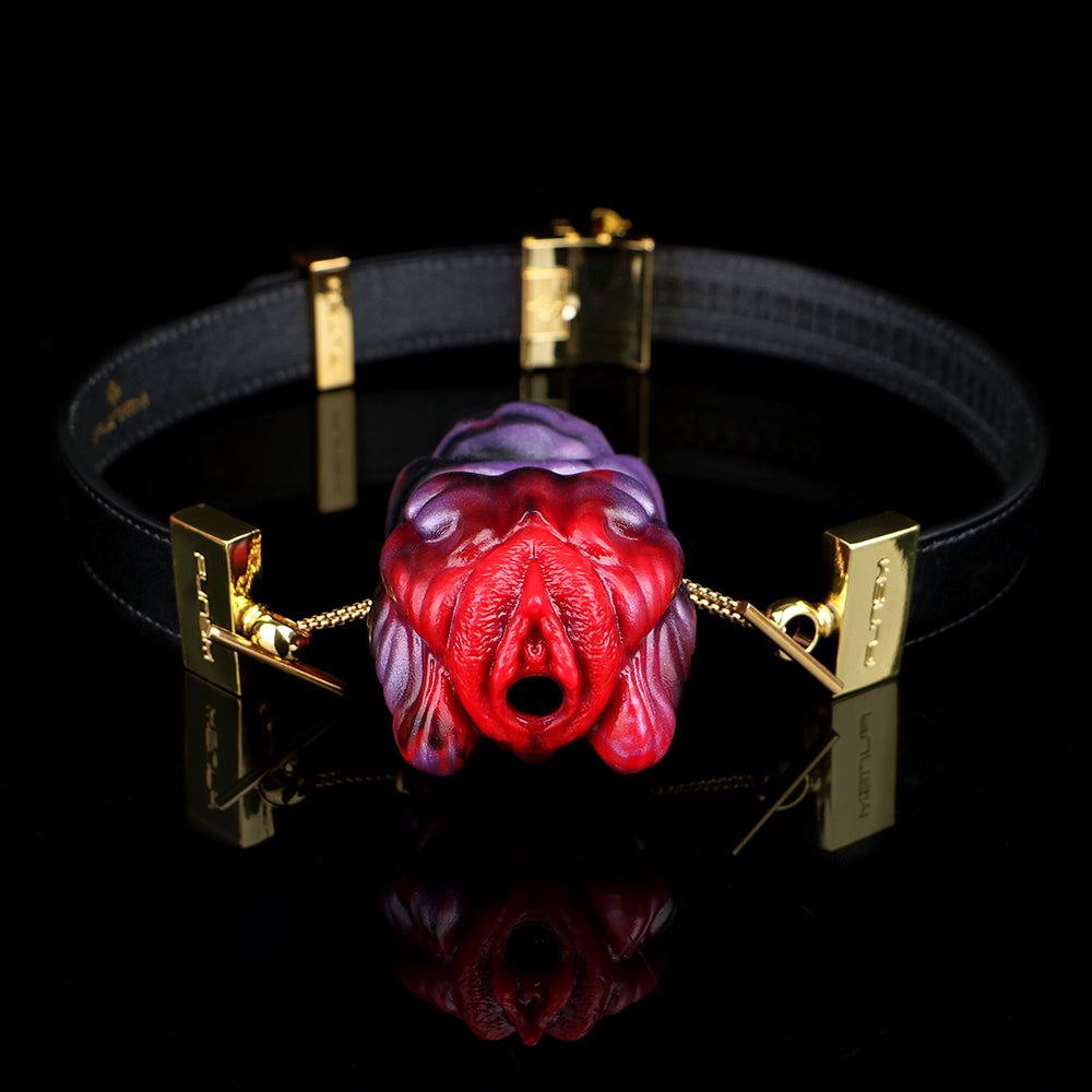 Exotic Female Ball Gag — Redefining Traditional Allure in Sex Toys