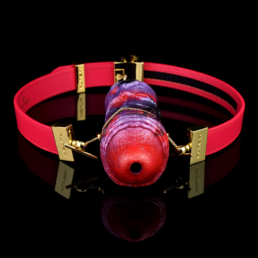 Realistic Dildo Ball Gag – BDSM Women Sexual Toy