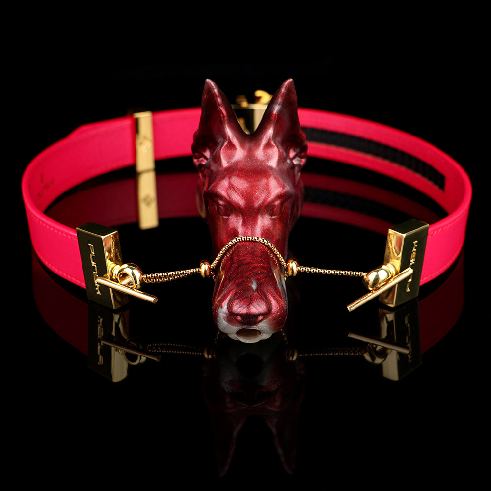 Mordaza de bola con forma de cabeza de lobo: juguetes sexuales BDSM de bondage vertical para mujeres