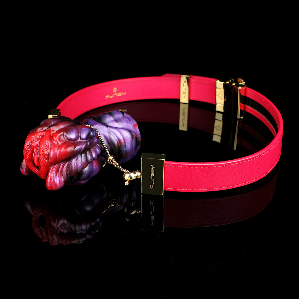 Exotic Female Ball Gag — Redefining Traditional Allure in Sex Toys