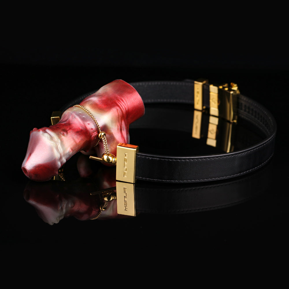 Mordazas de silicona con dildo y tapón oral - Juguetes sexuales para mujeres con kit de bondage