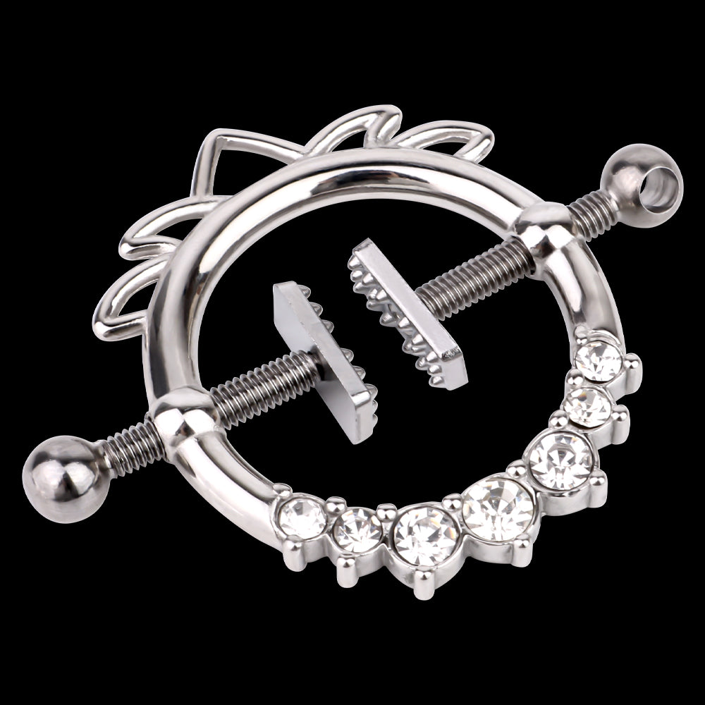Stainless Fantasy Nipple Clamps – Extreme Restraints Metal Necklace Sex Toys for BDSM