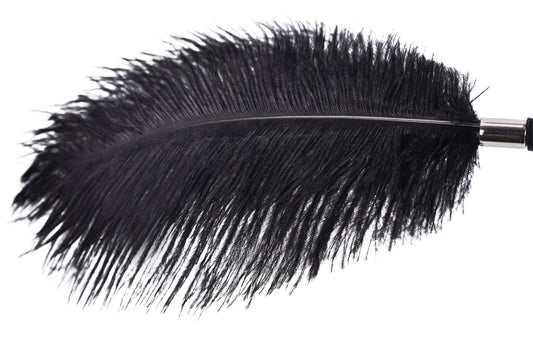 Juguetes BDSM con plumas y paletas para juegos eróticos: juegos pre-sexuales de bondage