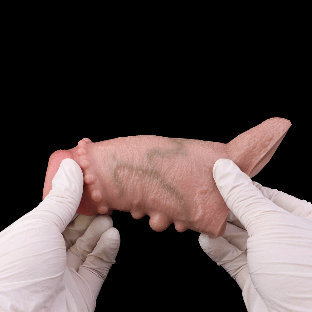 Realistic Contact Penis Sleeve - Fine Design, Durable Male Sex Toy